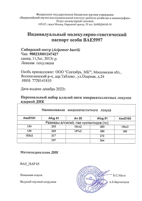 Фото генпаспорта